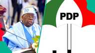 2027 election: New twist as PDP to adopt Tinubu as presidential candidate, details emerge