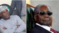 Robert Mugabe was a hero - Atiku pays glowing tribute to former Zimbabwean president