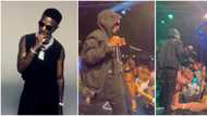 Christmas Day: Fans scream in video as Wizkid shows up to perform at billionaire Tony Elumelu's party