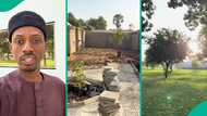 Intentional Nigerian man acquires large plot of land just to make garden for wife: "She loves nature"