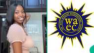 WAEC 2025: Girl with C6 in English sees higher grade after checking result again, shows new grades
