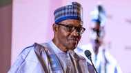 2019 poll will be my 5th and last election; I won't abuse constitution - Buhari