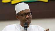 Unemployment crisis: Nigeria's labour market worsened since 2016, World Bank says
