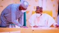 Why I've deep respect for you - Buhari tells appointee amid cabinet reshuffle