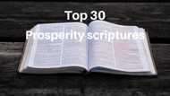 Top 30 list of inspiring prosperity scriptures