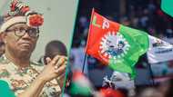 Breaking: LP breaks silence after Peter Obi's defection: "We made a big mistake in 2023"