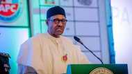 Shugaba Buhari Ya Zargi Kungiyar Malaman Jami'a, ASUU, da Rashawa