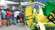 "Save $7bn yearly": Oil marketers suggest conversion of fuel from corn, sugarcane to replace petrol