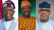Ogun West and the Dada Question: Growing Calls for Dada’s 2027 Senate Comeback