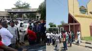 BREAKING: NANS suspends planned June 12 nationwide protests