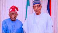 BREAKING: Buhari meets with Tinubu at Villa, fresh details emerge