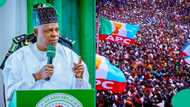 Breaking: What APC told Shettima as he marks his 60th birthday is out