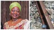 Who did this to us? Buhari's aide laments, shares video as vandals destroy new rail lines