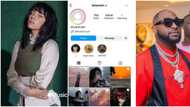 “30BG is a global phenomenon”: Davido’s fans go wild online as UK singer Billie Eilish joins DP removing trend