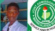 JAMB 2024: Arts student shares his UTME result, asks if he can study political science with it