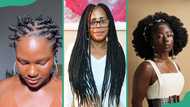 20+ perfect Christmas hairstyles for Black hair that are festive and fierce