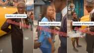 Drama as Nigerians sight President Buhari's look-alike walking along the road, video causes frenzy