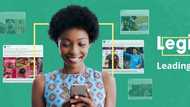 Legit.ng dissociates self from another deceptive Ponzi scheme targeting Nigerians