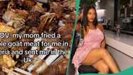 Nigerian lady in UK receives fried goat meat all the way from Nigeria, sent by her mother
