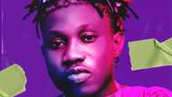 Listen to the new tune by Zlatan - Quilox