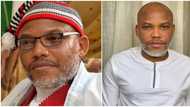 IPOB gives fresh update on Monday's sit-at-home order in southeast