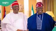 2027: New twist as Kwankwaso declares readiness to work with Tinubu, Peter Obi, others