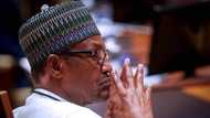 Tsaro: Buhari ya yi Ango Abdullahi 'wankin babban bargo'