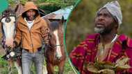 Ibrahim Chatta’s staff injures pregnant horses in his film village, actor reacts: "I'll lock you up"