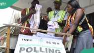 Ondo election: How do Nigerians vote for their state governors?