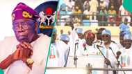 2023 election: Sokoto spiritual leader uncover what Tinubu did to win election