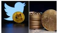 Twitter enables stocks and crypto trading on its platform, issues step-by-step action