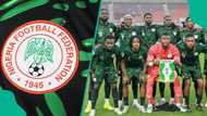 NFF releases statement ahead of Super Eagles' World Cup playoff final vs DR Congo