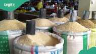 Top 5 cheapest, most expensive states to buy rice in Nigeria