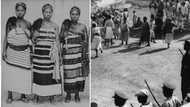 Aba Riot of 1929: History of Nigerian women's protest against warrant chief, tax system