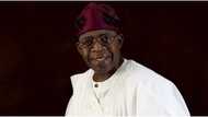 What Tinubu will do when he returns from Europe, APC reveals