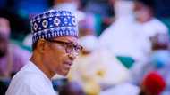 Buhari wants Senate to confirm Prof. Omotayo as NIPSS DG