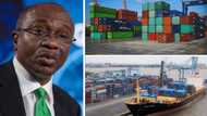 CBN vows to punish shipping lines for illegal cargo export from Nigeria