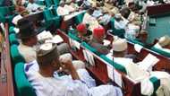 Lagos may become part of NDDC as House of Reps begins move