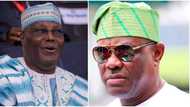 "Nothing special in Obasanjo”, Atiku blasts Wike, reveals why Buhari didn't support Osinbajo for president