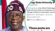 Tinubu's certificate: Chicago University locks Twitter account amid bombardment by Nigerians