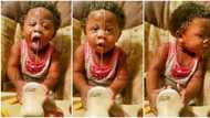 "Children na your mate?" Viral video of baby stylishly pressing expensive milk into his mouth causes stir