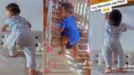 "He should be in Jagaban's army": Mum sees 9-month-old son climbing ladder at home, video trends