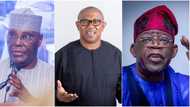 Don't vote for Tinubu, Peter Obi - Atiku urges Nigerians, gives reasons