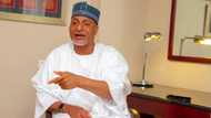 2023 polls: Igbo community endorses powerful APC northern senatorial candidate
