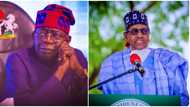 Nigerian journalist lists 7 Buhari mistakes President Tinubu must avoid