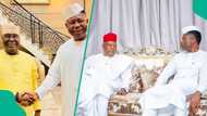 Shettima, Atiku, Kwankwaso others visit to Jack-Rich as reason emerges