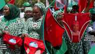 Kano governor addresses video of ladies dancing with underwear publicly