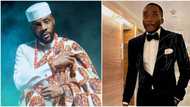 "I was one of the first to blow hosting game up": Ebuka calls Bovi new cat, comedian, other celebs react