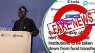 NIBSS to delist Opay, Moniepoint, Kuda, others? Tinubu's aide reveals fact