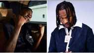 Why are they shirtless: Reactions as NDLEA releases singer Zinoleesky, freedom video with Naira Marley emerges